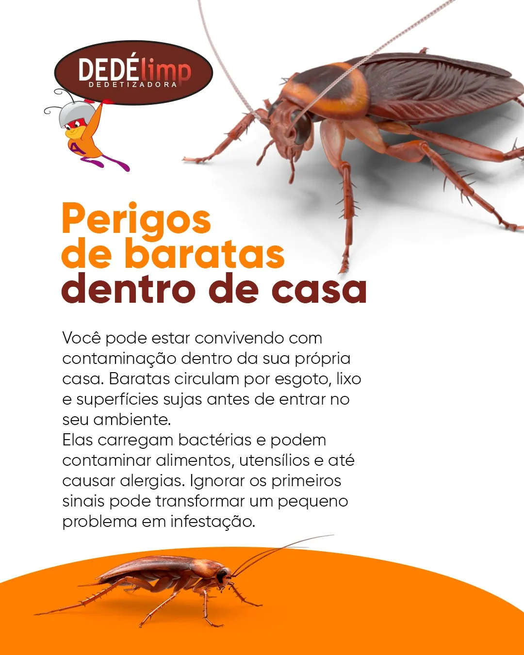 dedelimp-img-2-v1