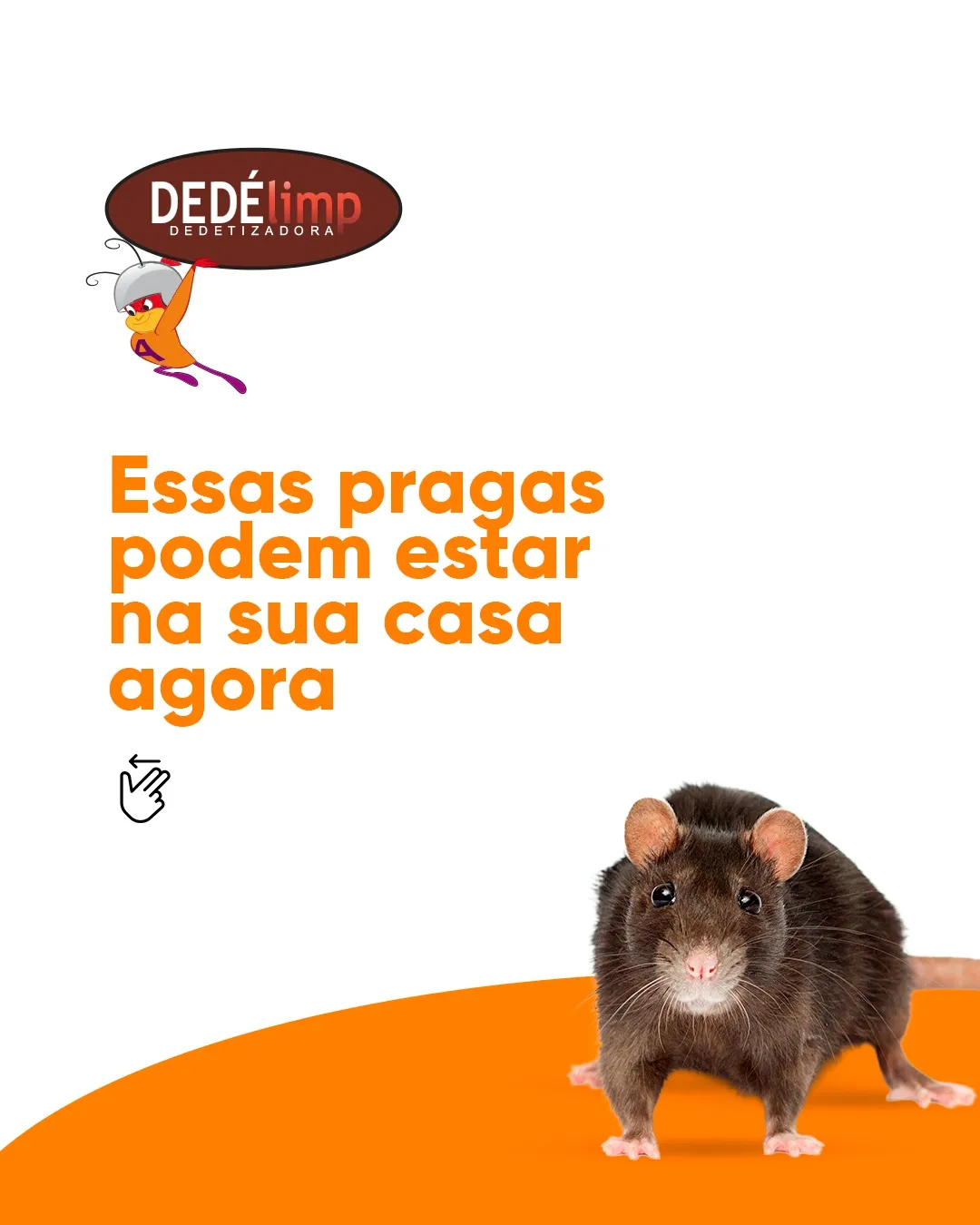 dedelimp-img-3-v1